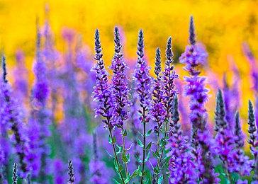 《面具之塔》Steam试玩发布 即时战斗迷宫探索