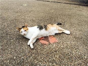 《命运2：光陨之秋》“武器与装备”预告：新异域亮相