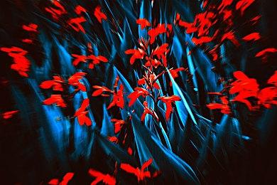 《使命召唤19》第五赛季预告 格雷夫斯回归