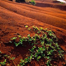 《GTA6》泄密R星损失500万美元和数千小时工时